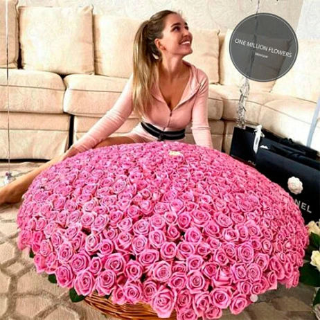 Корзина из 501 розовой розы "Ревиваль"